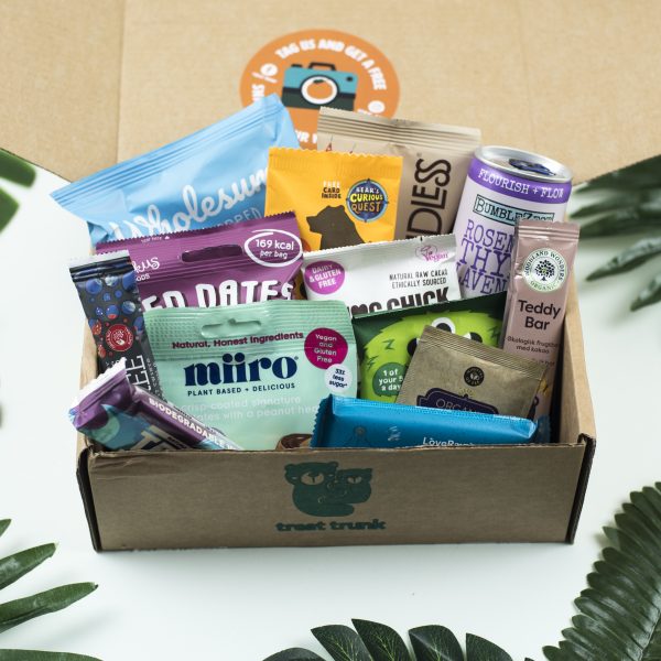 Treat Trunk Mini Healthy Snack Box